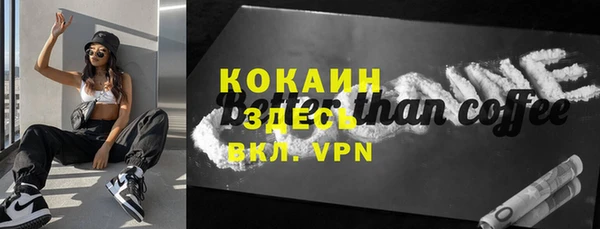 дживик Новозыбков