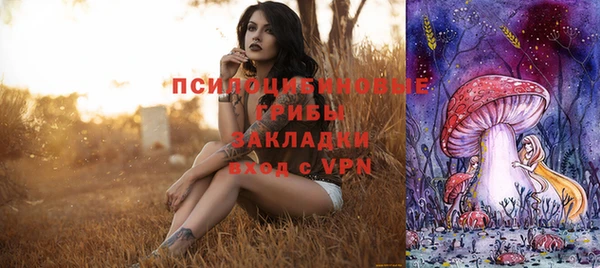 дживик Новозыбков