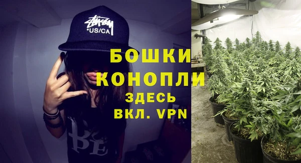 Альфа ПВП Новодвинск