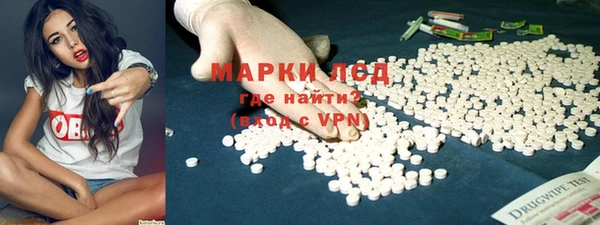дживик Новозыбков