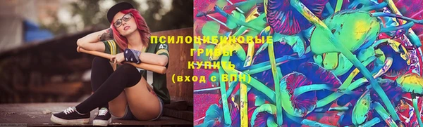 дживик Новозыбков