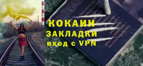 дживик Новозыбков
