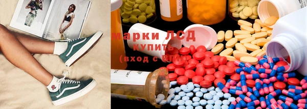 дживик Новозыбков