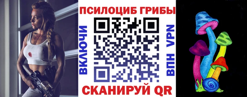 MEGA ONION  Советск  Галлюциногенные грибы Psilocybine cubensis 